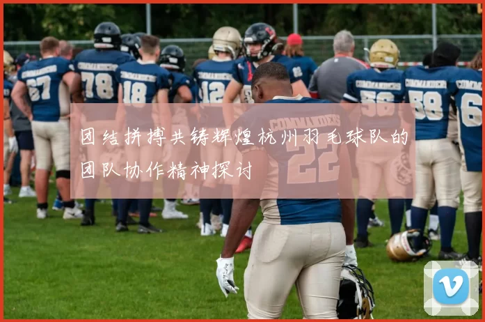 团结拼搏共铸辉煌杭州羽毛球队的团队协作精神探讨