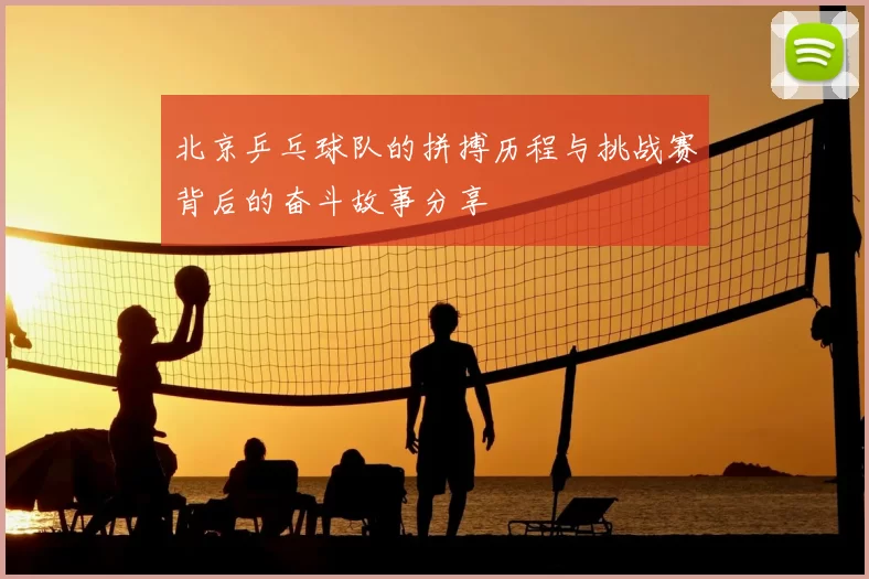 北京乒乓球队的拼搏历程与挑战赛背后的奋斗故事分享