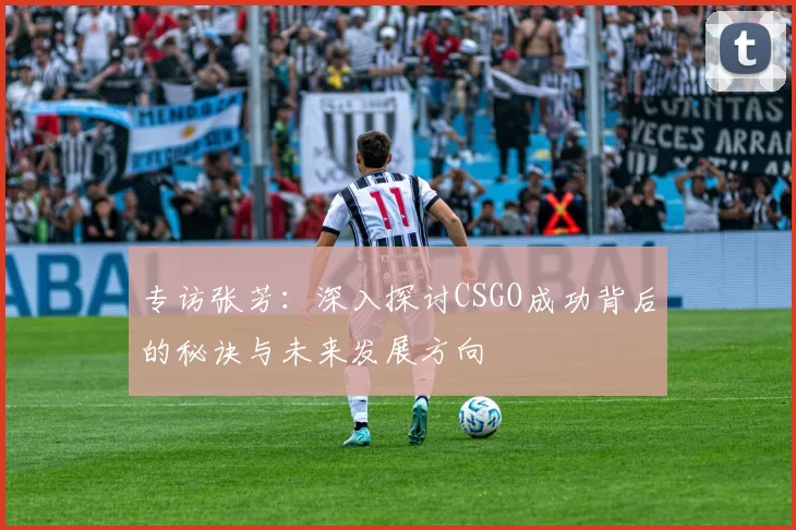 专访张芳：深入探讨CSGO成功背后的秘诀与未来发展方向