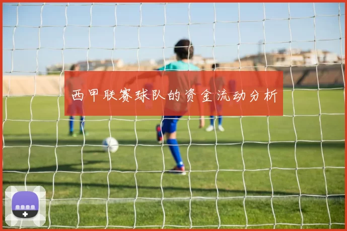 西甲联赛球队的资金流动分析