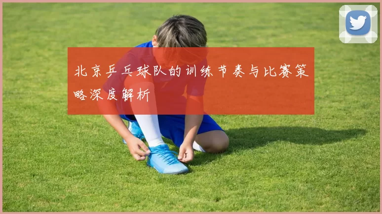 北京乒乓球队的训练节奏与比赛策略深度解析