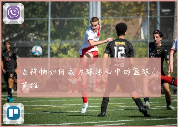 吉祥物如何成为球迷心中的篮球小英雄