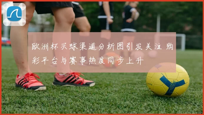 欧洲杯买球渠道分析图引发关注 购彩平台与赛事热度同步上升