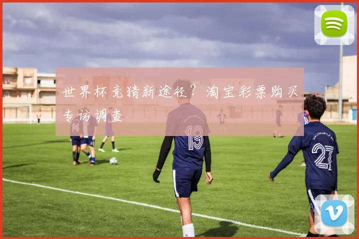 世界杯竞猜新途径?淘宝彩票购买专访调查