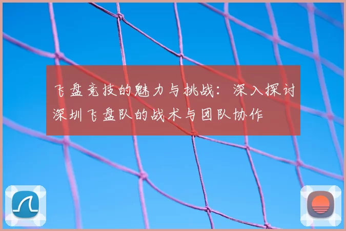 飞盘竞技的魅力与挑战：深入探讨深圳飞盘队的战术与团队协作