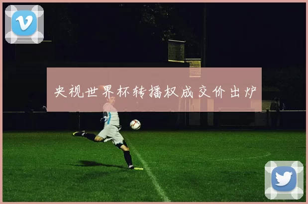 央视世界杯转播权成交价出炉
