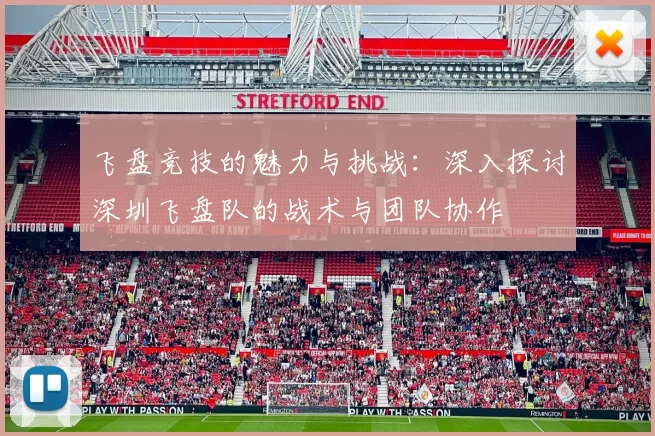 飞盘竞技的魅力与挑战：深入探讨深圳飞盘队的战术与团队协作