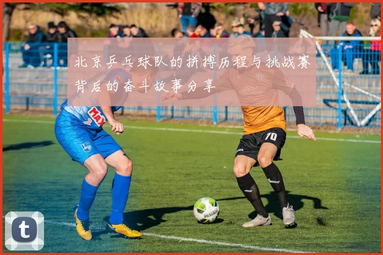 北京乒乓球队的拼搏历程与挑战赛背后的奋斗故事分享