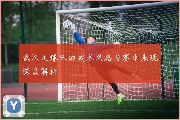 武汉足球队的战术风格与赛季表现深度解析