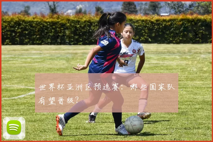 世界杯亚洲区预选赛:哪些国家队有望晋级?