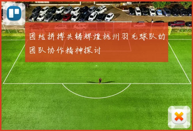 团结拼搏共铸辉煌杭州羽毛球队的团队协作精神探讨